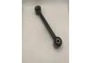Engine Mount:55250-2W100