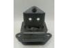 Engine Mount:8-97234-976-2